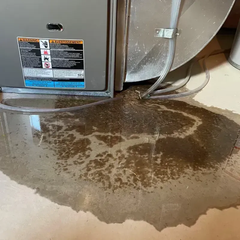 Appliance Leak Cleanup in Fort Deposit, AL